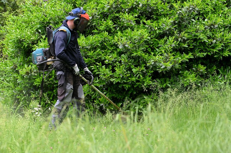 Opozorilo za lastnike zemljišč: preveč bujna vegetacija ob cestah vas lahko drago stane! (foto: Bobo/Žiga Živulović)