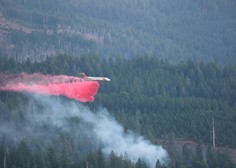 Naravna katastrofa: v Kaliforniji divja četrti najhujši gozdni požar v zgodovini zvezne države