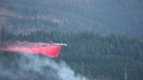 Naravna katastrofa: v Kaliforniji divja četrti najhujši gozdni požar v zgodovini zvezne države