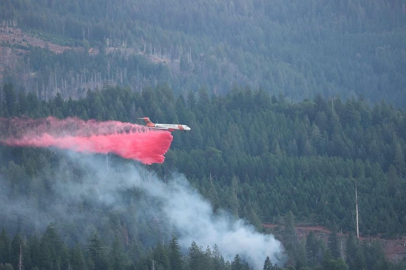 Naravna katastrofa: v Kaliforniji divja četrti najhujši gozdni požar v zgodovini zvezne države (foto: Profimedia)