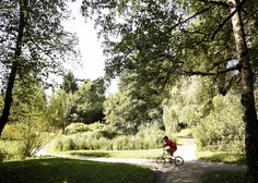 Ste vedeli, da lahko v ljubljanskem botaničnem vrtu vidite redko posebnost?