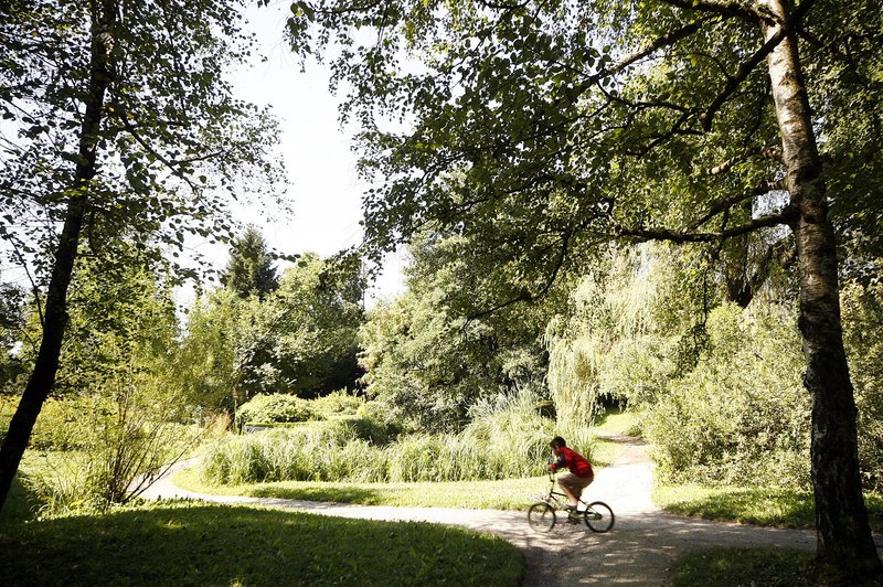 Ste vedeli, da lahko v ljubljanskem botaničnem vrtu vidite redko posebnost? (foto: Bor Slana/Bobo)