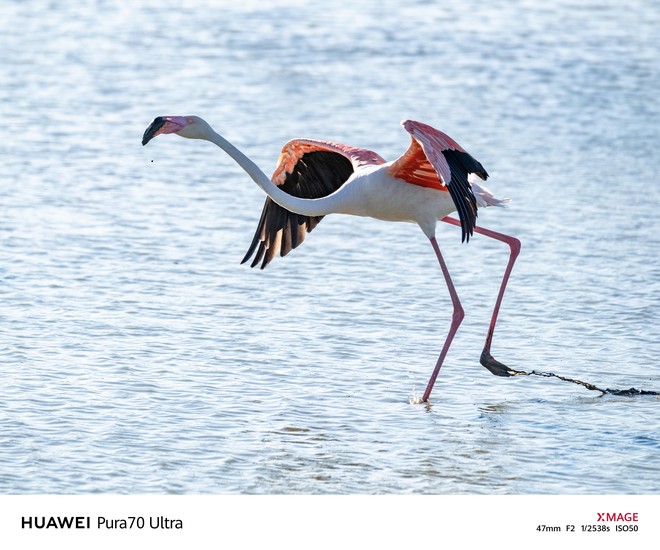 Fotograf, predavatelj in urednik Digitalne kamere Igor Rosina je testiral Huawei Pura 70 Ultra (foto: Igor Rosina, Andreja Ravnak, posneto s Huawei Pura 70 Ultra)