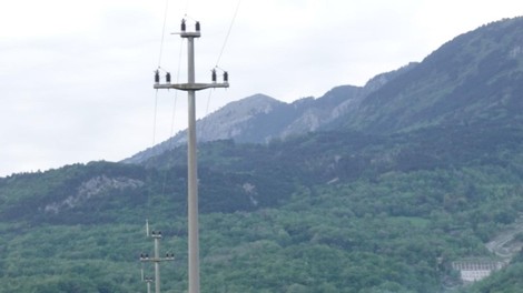 živali sova uharica DOPPS pogin daljnovodi