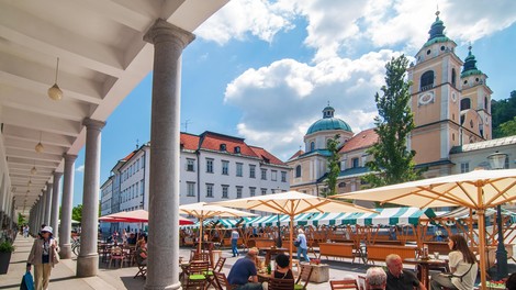 živali osel Ljubljana jahanje mučenje