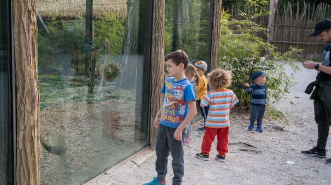 Novi mladički v ZOO Ljubljana (poglejte, kako so prikupni) (foto: Profimedia)