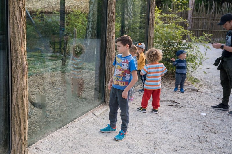 Novi mladički v ZOO Ljubljana (poglejte, kako so prikupni) (foto: Profimedia)