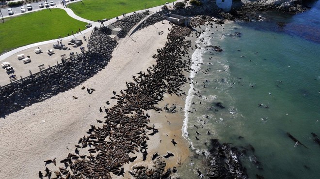 Neverjeten prizor na plaži je zbegal znanstvenike, kaj se dogaja? (foto: Profimedia)