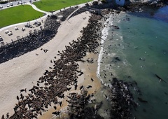 Neverjeten prizor na plaži je zbegal znanstvenike, kaj se dogaja?