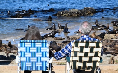 Neverjeten prizor na plaži je zbegal znanstvenike, kaj se dogaja?