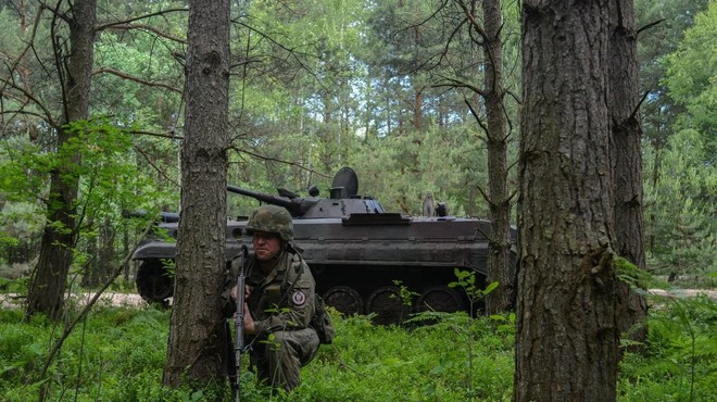 Poljski vojak (Fotografija je simbolična). (foto: Profimedia)