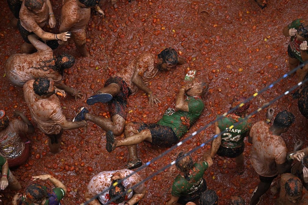 paradižnik, obmetavanje, festival