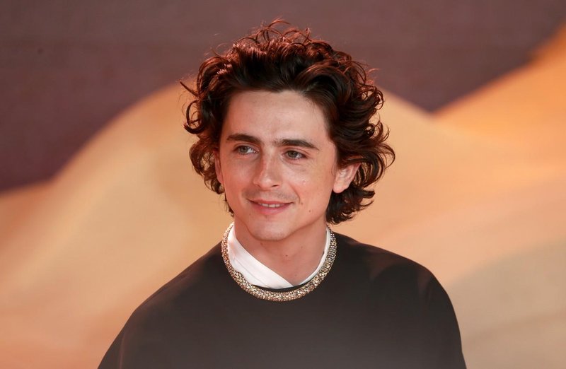 Timothee Chalamet