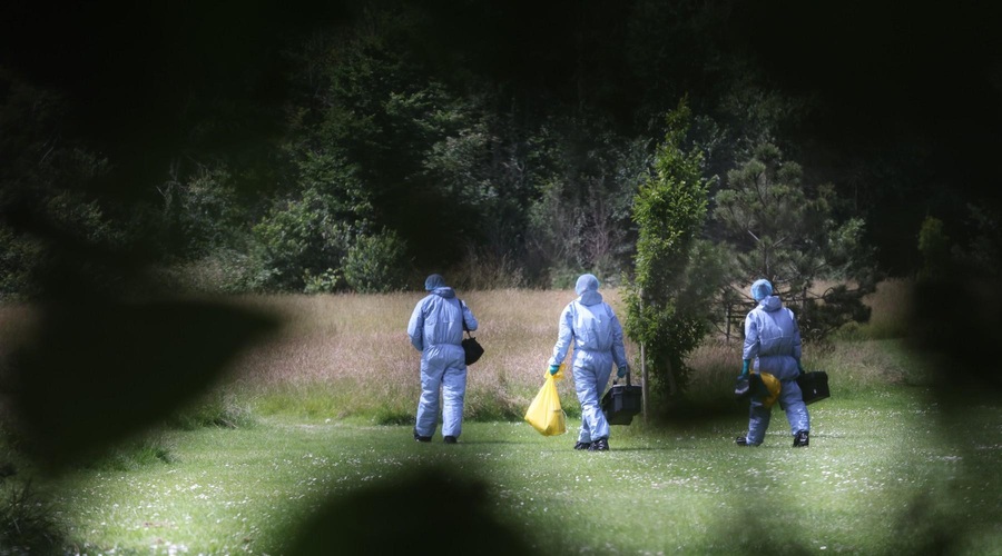 Fotografija je simbolična. (foto: Profimedia)