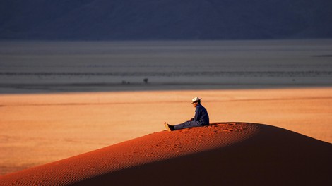 živali namibija poboj sloni antilope