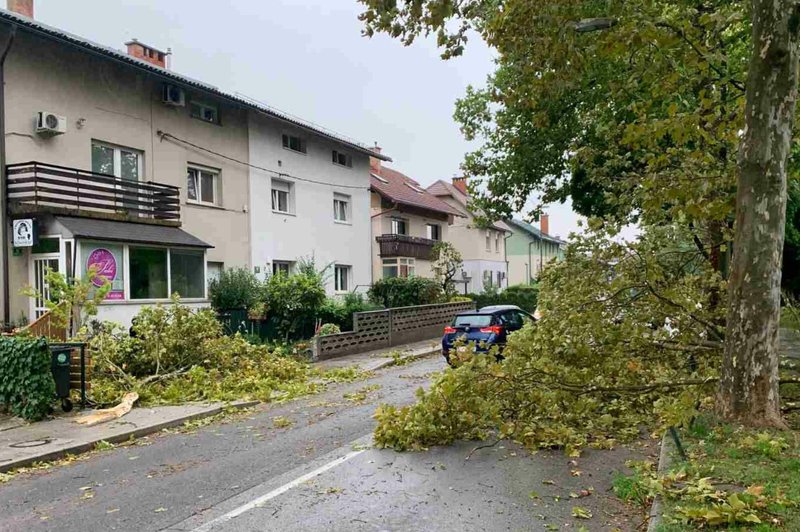 Fotografija je simbolična. (foto: Žiga Živulović j.r./Bobo)