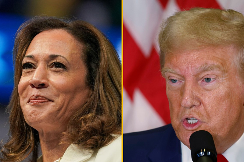 Medsebojno obkladanje z žaljivkami med predsedniškima kandidatoma: Kamala Harris Donalda Trumpa izzvala na ... (foto: profimedia/fotomontaža)