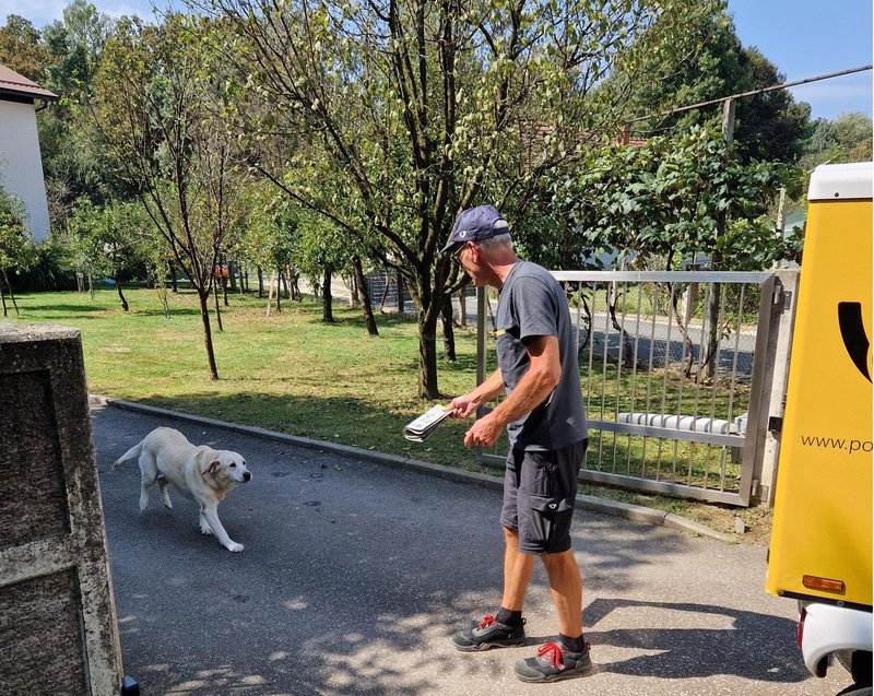 Takole Biba vsak dan priteče k svojemu 'sodelavcu'.