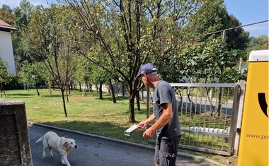 Takole Biba vsak dan priteče k svojemu 'sodelavcu'.