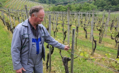 Oškodovancem zaradi neurij s točo bodo zagotovili sredstva v višini 7,8 milijona evrov.