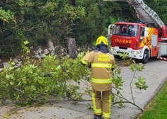 Veter postaja vse močnejši: poglejte, katere regije bodo ponoči na udaru