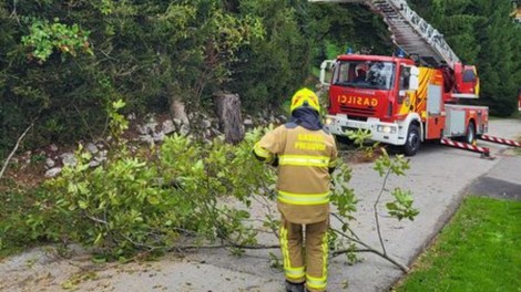 veter vreme drevo gasilci Preddvor Prostovoljno gasilsko društvo Preddvor