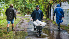 poplave vreme padavine Evropa ciklon Boris