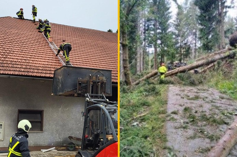 V Topolšici sirena za nevarnost, odkritih je več hiš (FOTO in VIDEO) (foto: Facebook/Pgd Topolšica/Krajevna skupnost Topolšica)