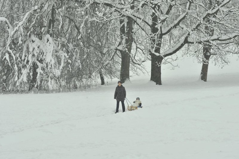 Bo snežilo, ne bo snežilo, kje bo snega največ?! Brane Gregorčič razkril, kaj se dogaja na nebu (foto: Žiga Živulović j.r./Bobo)