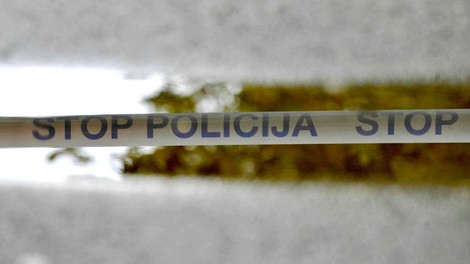 policija kronika