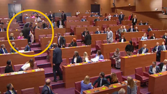 Barbara Antolić Vupora parlament Hrvaška padec