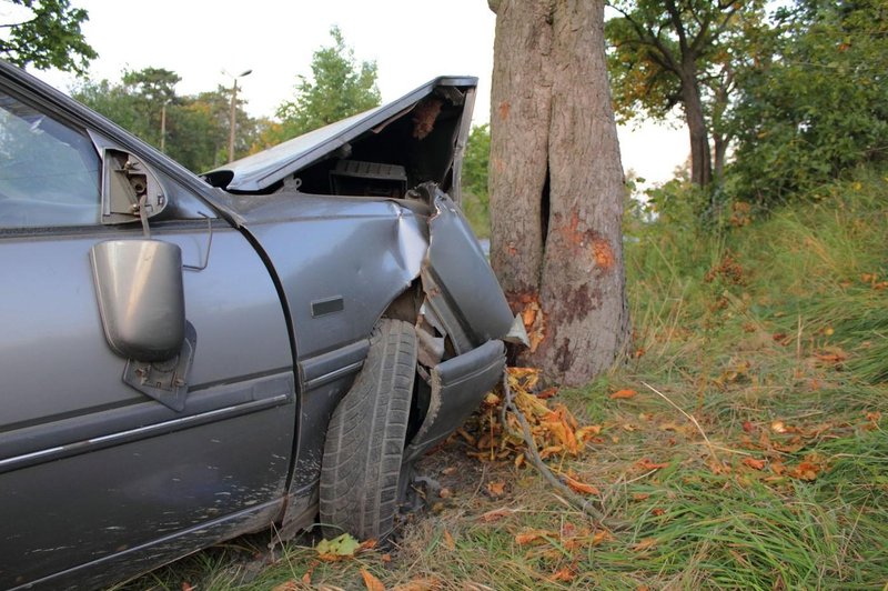 Fotografija je simbolična. (foto: Profimedia)