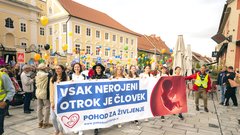 protest splav Maribor