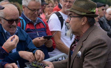 Odvil se je težko pričakovani vrhunec festivala Stare trte: oglejte si, kako je dogodek potekal (FOTO)