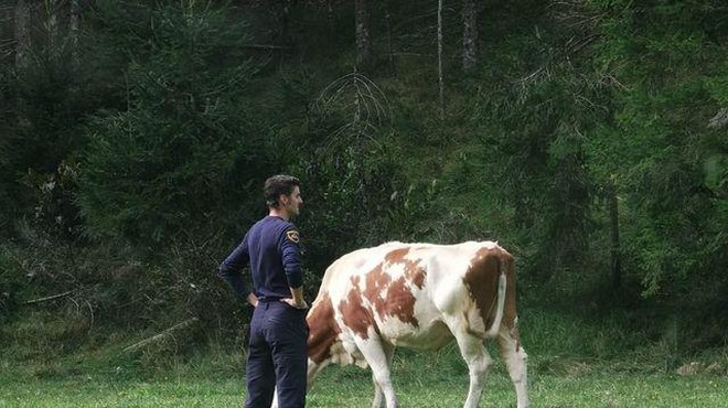 Slovenska policija delila simpatično fotografijo (kaj mislite, da se dogaja na njej?) (foto: Facebook/Slovenska policija)