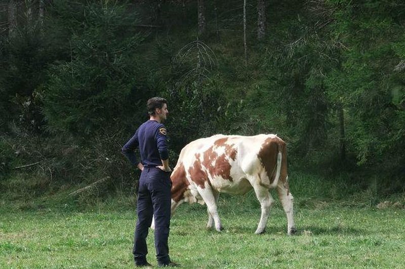 Slovenska policija delila simpatično fotografijo (kaj mislite, da se dogaja na njej?) (foto: Facebook/Slovenska policija)