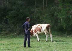 Slovenska policija delila simpatično fotografijo (kaj mislite, da se dogaja na njej?)