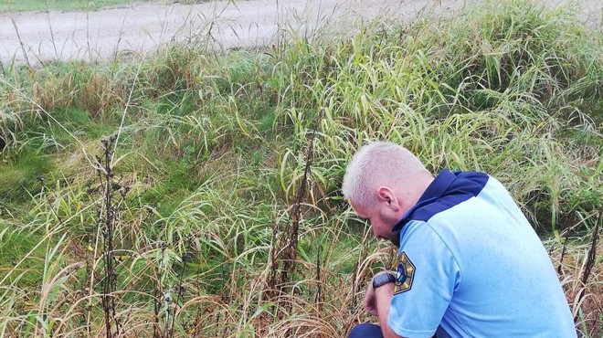 Ob močnem dežju je policiste v Dragonji presenetil nenavaden obisk (FOTO) (foto: Facebook/Slovenska olicija)