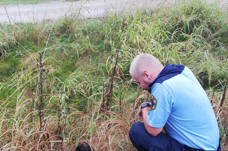 Ob močnem dežju je policiste v Dragonji presenetil nenavaden obisk (FOTO) (foto: Facebook/Slovenska olicija)