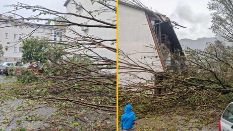 vreme Ajdovščina veter burja drevo