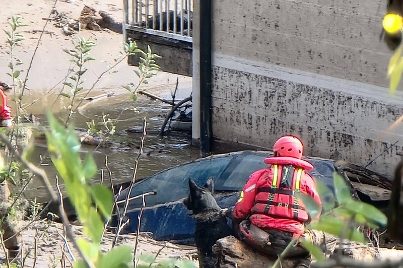 Pasja junakinja, psička Zara, priskočila na pomoč po poplavah v Jablanici (foto: HGSS - Hrvatska gorska služba spašavanja/Facebook)