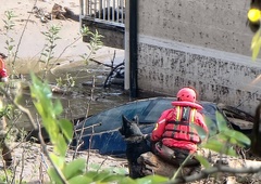 Pasja junakinja, psička Zara, priskočila na pomoč po poplavah v Jablanici