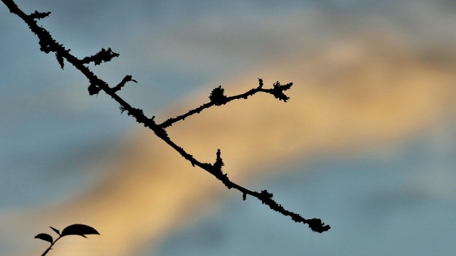 Ponekod bodo vztrajale krajevne padavine, presenetil nas bo tudi ... (foto: Profimedia)