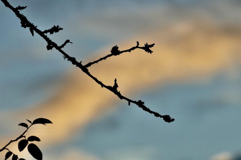 Ponekod bodo vztrajale krajevne padavine, presenetil nas bo tudi ... (foto: Profimedia)