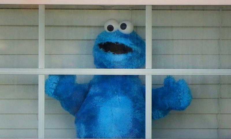 Cookie Monster