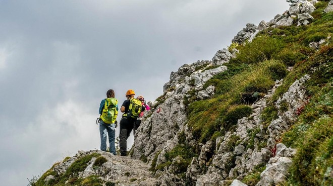 Srečanje, ki si ga nihče ne želi: kaj storiti, da se ne konča tragično? (foto: Profimedia)