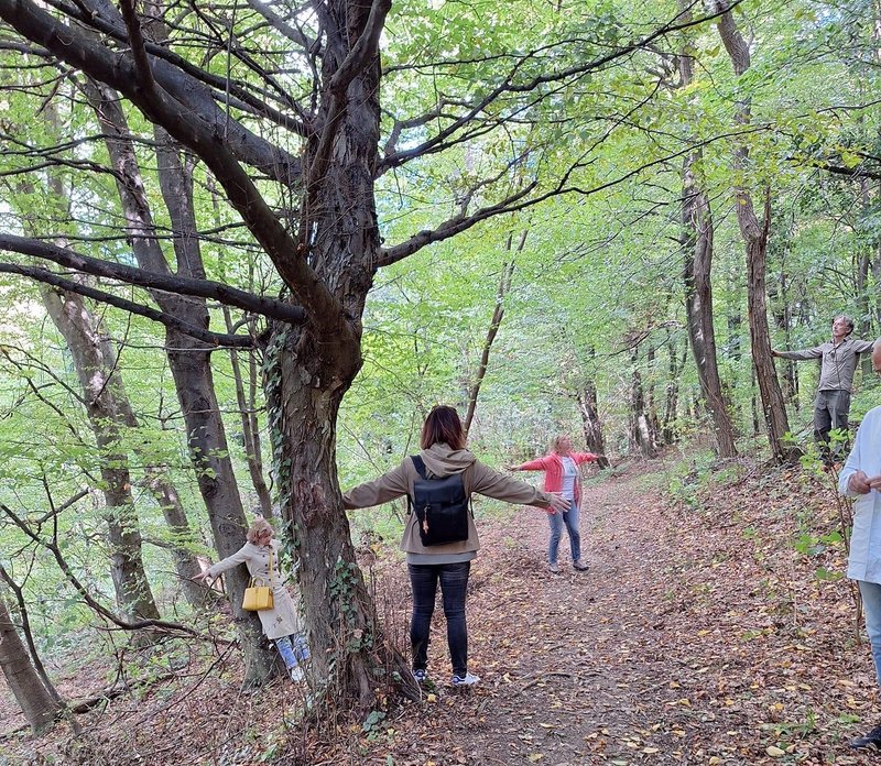 Zvok šelestenja listja, ptičjega petja in oddaljenega žuborenja potoka je ustvarjal naravni orkester, ki je vse bolj odganjal vsakdanji stres.