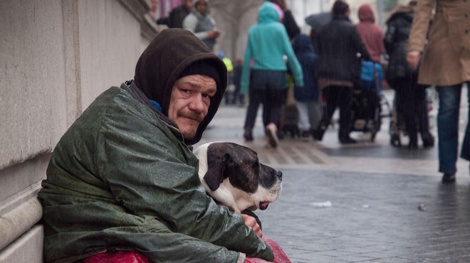 Ljudje, ki beračijo s psi: reveži ali izkoriščevalci? (foto: Profimedia)