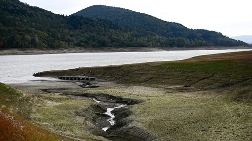 Krizni alarm: do leta 2050 ogrožena polovica globalne pridelave hrane