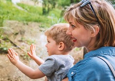 V ZOO Ljubljana delili prvo fotografijo najbolj 'svežega' mladička (samo poglejte ga!)